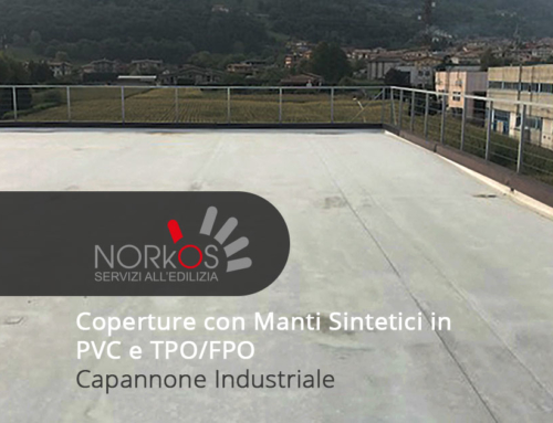 Coperture con Manti Sintetici in PVC e TPO/FPO | Capannone Industriale